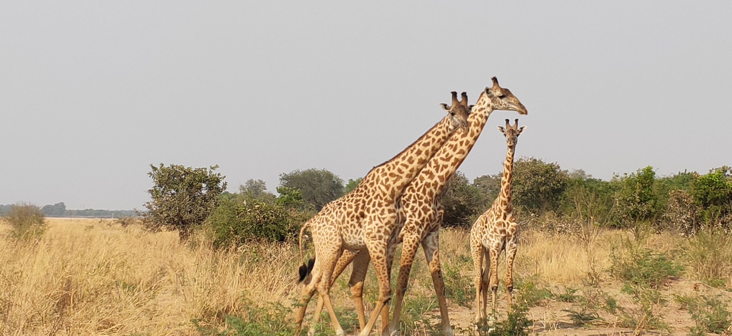 La mia africa: tanti ricordi, nessun rimpianto