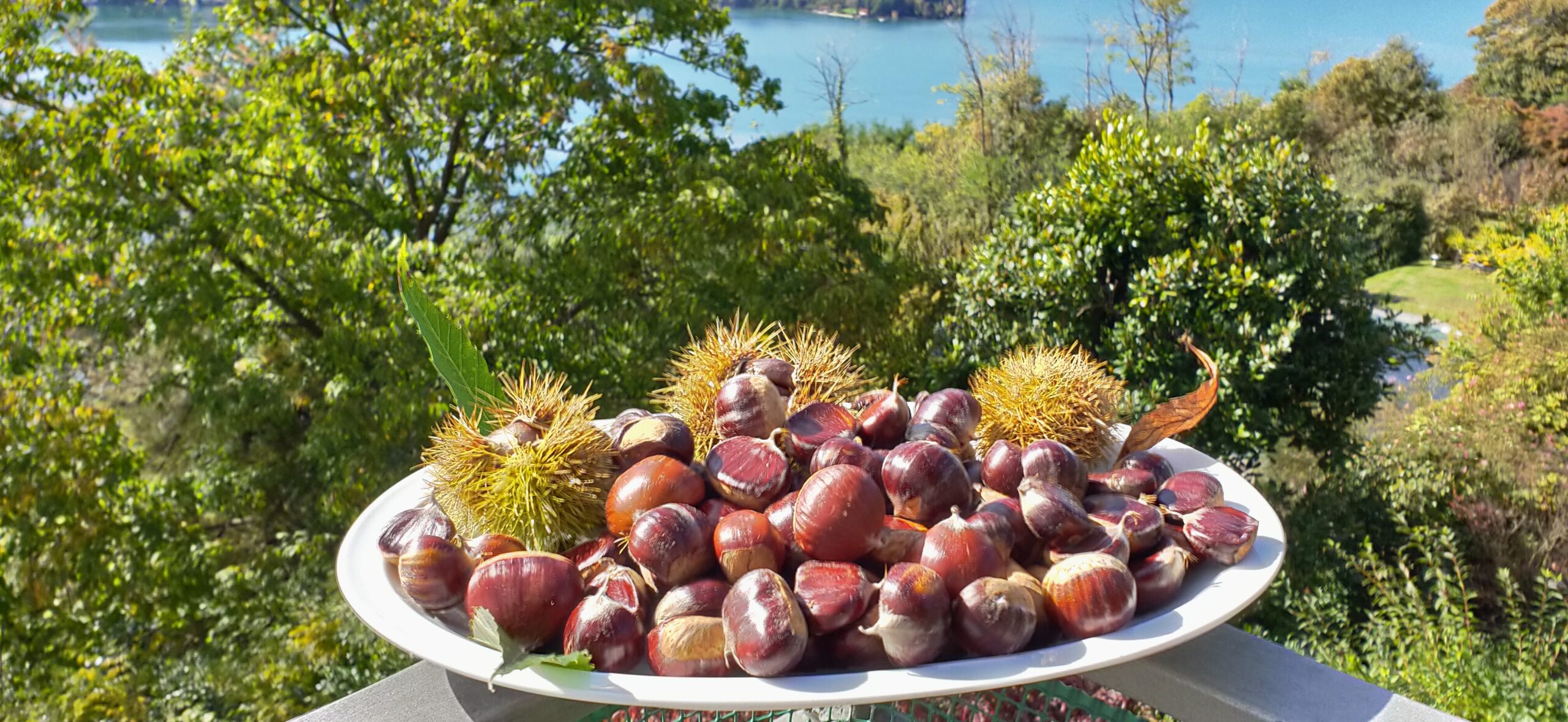 Ricci e ricordi: le castagne